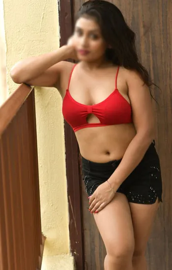 Call Girls in Novotel Hotel